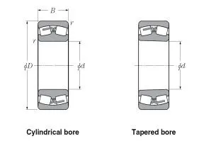 Speed reducer bearings