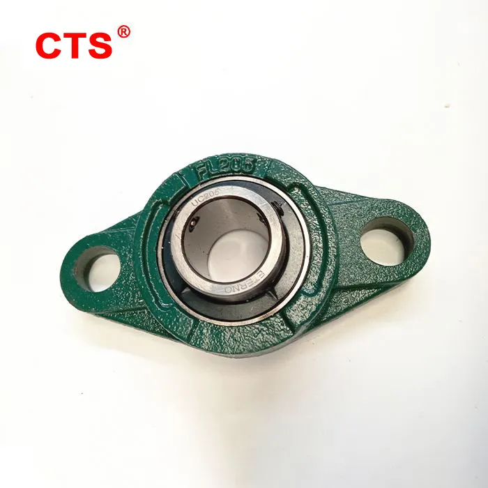 2 Bolt Cast Iron Flange Unit